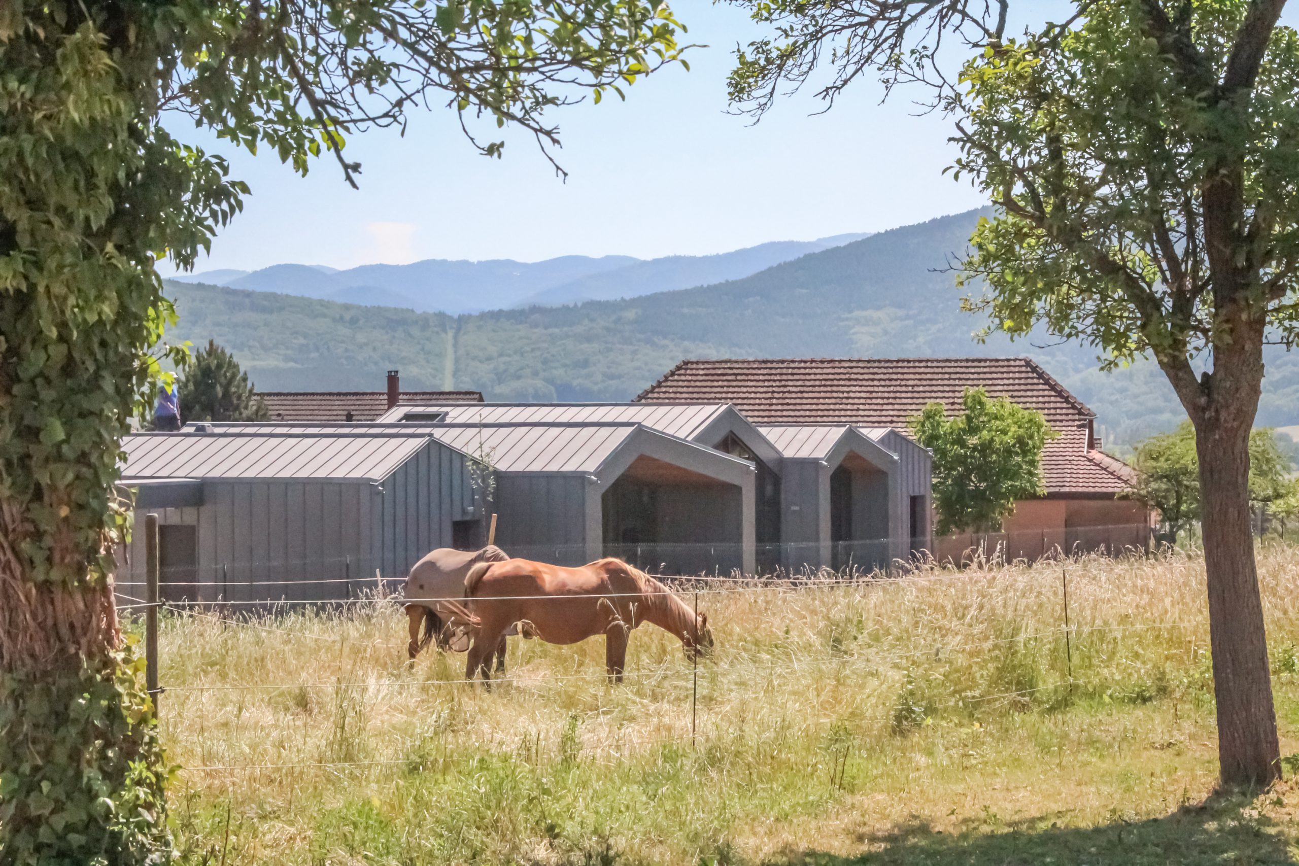 Architecte Alsace Guebwiller Wagner perspectives agence architecture construction rénovation extension réhabilitation agencement urbanisme BBC RE2020 biosourcé toiture végétalisé gentiane refuge Ballon d'Alsace existant tourisme